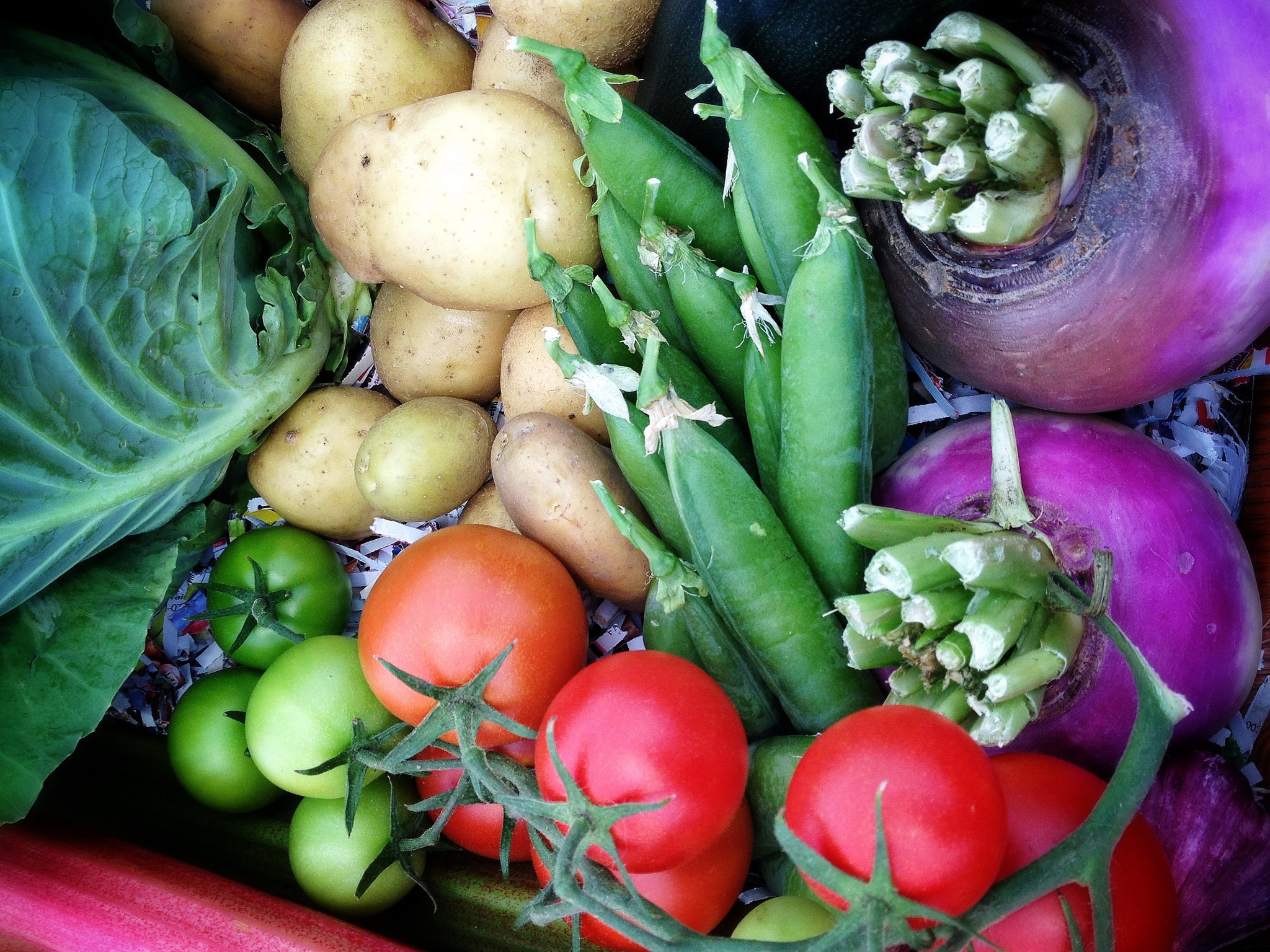 7757402794_b8b7cd2a40_k